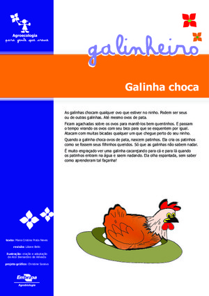 Galinha Choca